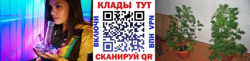 Купить наркотики сайты Елизаветинская Каннабис  Меф 
