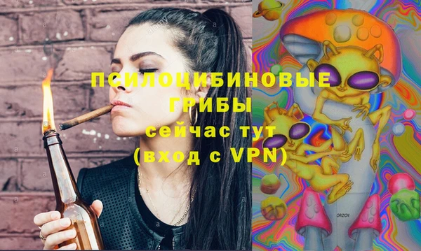 амф Вязьма