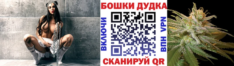 Каннабис сатива  omg как зайти  Елизаветинская 